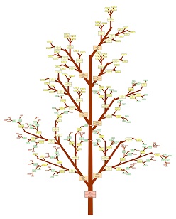 My Family Trees - Welcome to ezFamilyTree.com - Get your Family Tree ...